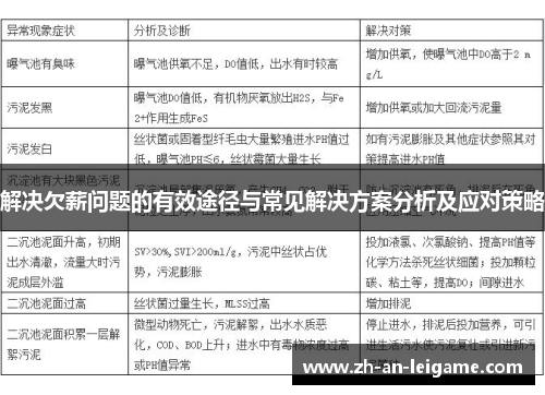 解决欠薪问题的有效途径与常见解决方案分析及应对策略 解决欠薪问题的有效途径与常见解决方案分析及应对策略