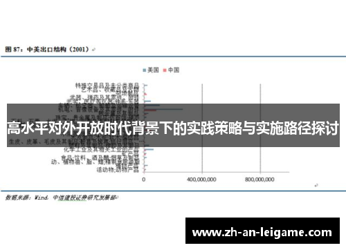 高水平对外开放时代背景下的实践策略与实施路径探讨 高水平对外开放时代背景下的实践策略与实施路径探讨
